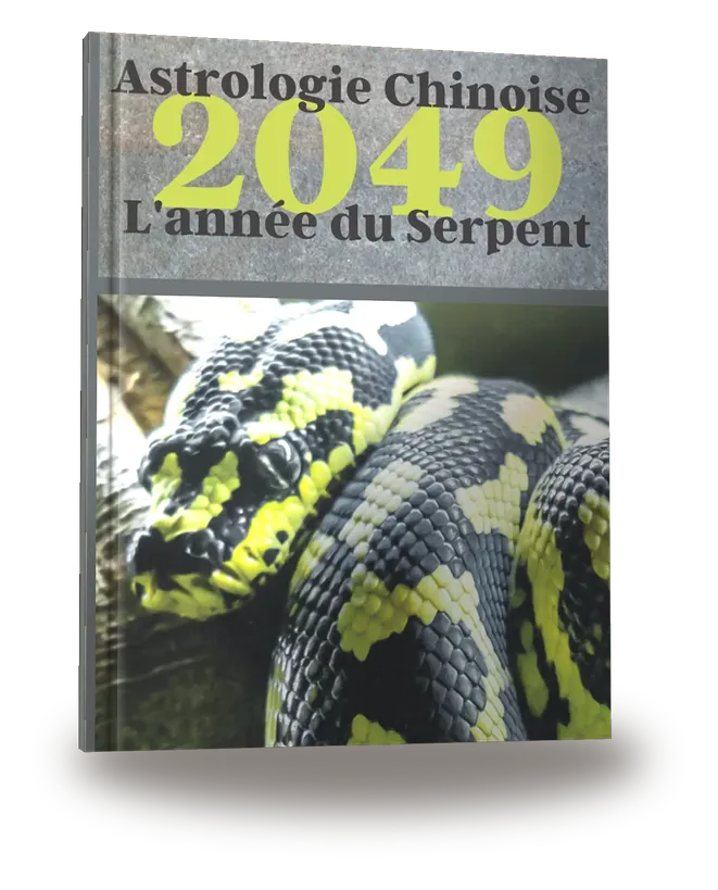 Portada del libro «Carnet de notes — Astrologie chinoise 2049, année du Serpent»