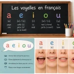 Tableau des voyelles françaises a, e, i, o, u avec leur transcription phonétique et la position des lèvres